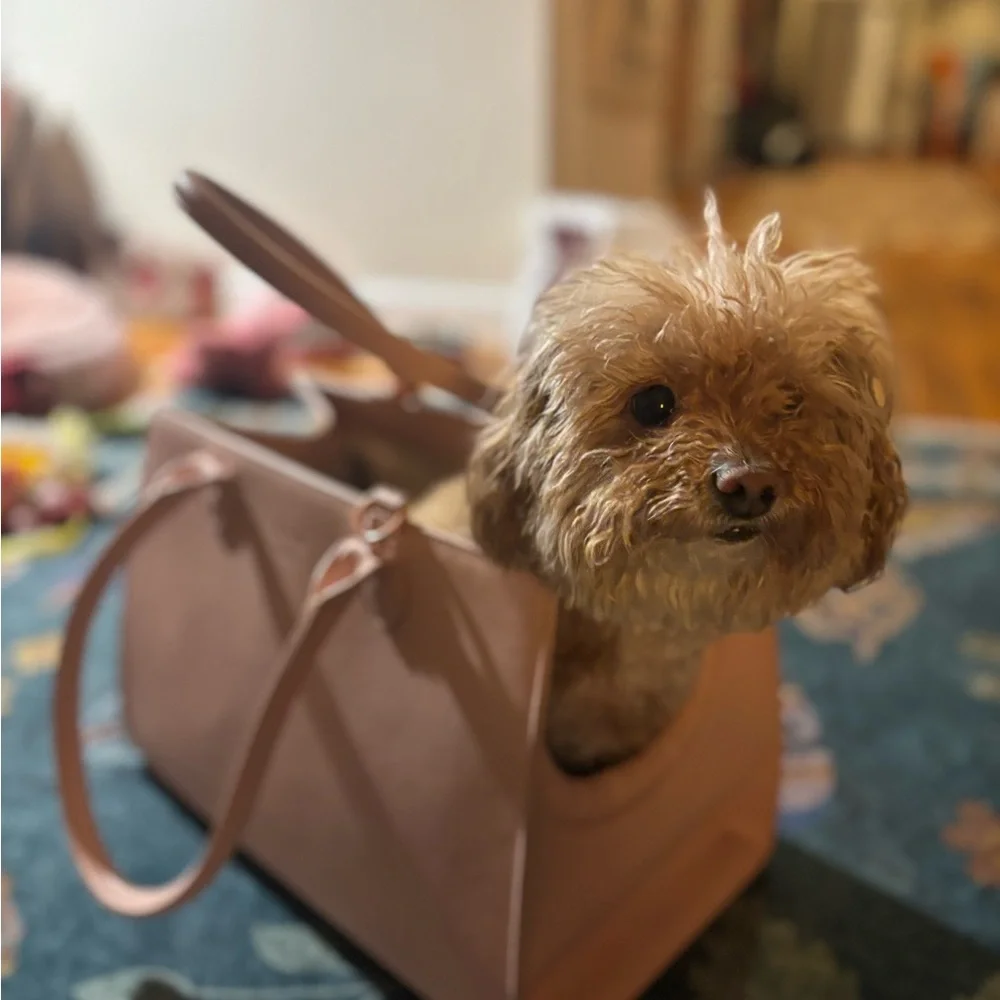 Pink Dog Carrier